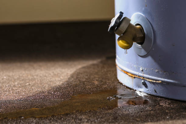 Best Residential water damage restoration  in USA